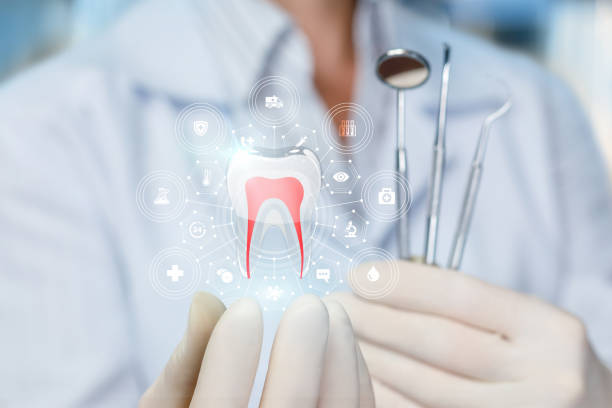  Elkton, MD Holistic Dental Care Services Pros